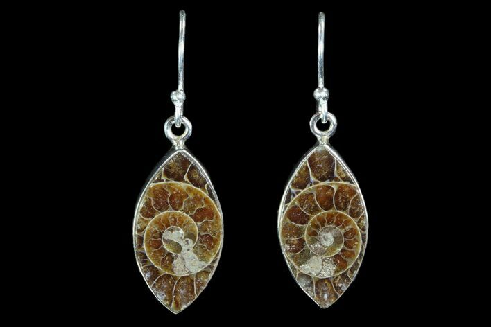 Fossil Ammonite Earrings - Sterling Silver #81637